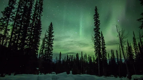 Aurora Borealis from the Woods Video stock 88148974