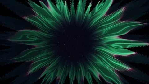 Aurora Corona Overhead Looking Up Through Pine Trees Seamless Loop 스톡 동영상 347071858