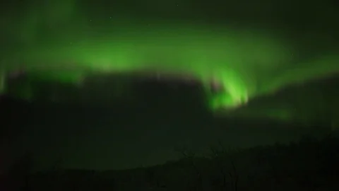 Aurora Dancing over a winter forest Stock Footage 69853401