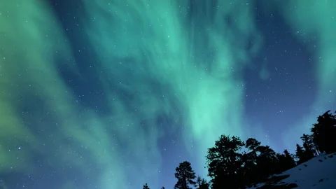 Aurora Green Over Alpine Mountain Peak Pine Trees 01 Loop Stock Footage 142246123