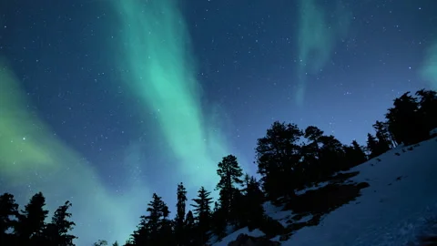 Aurora Green Over Alpine Mountain Peak Pine Trees 02 Loop Stock Footage 145323601