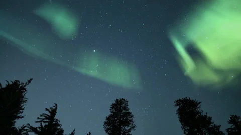Aurora Green Over Pine Trees Loop Stock Footage 144181670