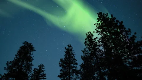 Aurora Green Over Pine Trees Silhouette 02 Loop Stock Footage 146683170