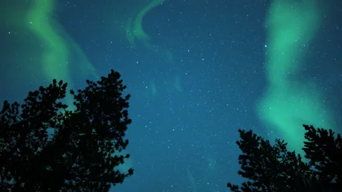 Aurora Green Over Pine Trees Silhouette Loop Stock Footage 155948269