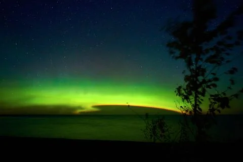 Aurora lights with tornado pattern and tree with leaves silhouette and night sky Stock Photos