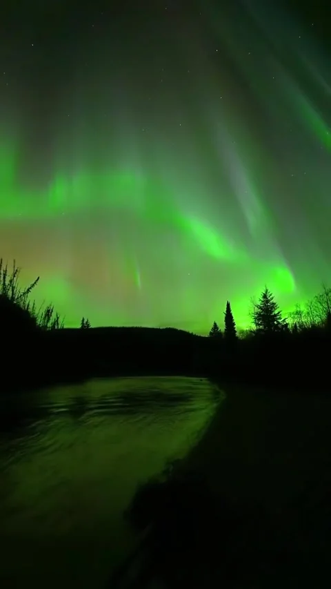 Aurora in the night sky Stock Footage 318433669