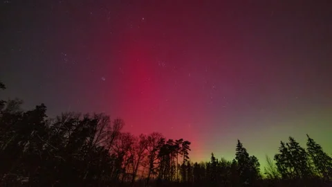 Aurora over forest. Calm night timelapse with northern lights. Stock Footage 327806867