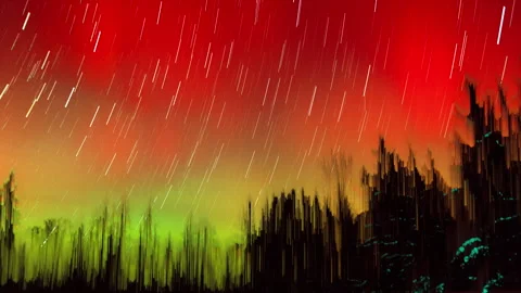 Aurora over forest. Calm night timelapse with northern lights. Stock Footage 327807529