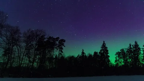 Aurora over forest. Calm night timelapse with northern lights. Stock Footage 327807941