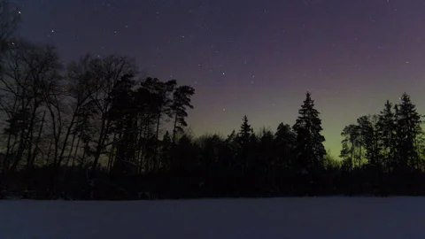 Aurora over forest. Calm night timelapse with northern lights. Stock Footage 327808021