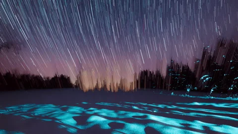Aurora over forest. Calm night timelapse with northern lights. Stock Footage 327808517