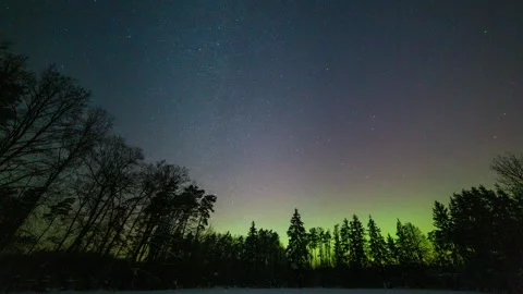 Aurora over forest. Calm night timelapse with northern lights. Stock Footage 327808550