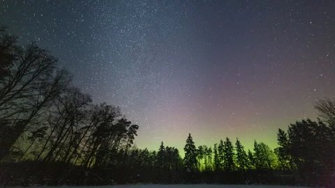 Aurora over forest. Calm night timelapse with northern lights. Stock Footage 327808649