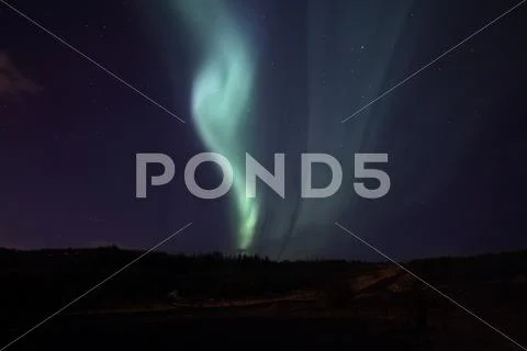 Aurora over Forest Stock Photos