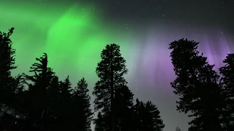 Aurora Over Pine Trees Silhouette and Ski Lifts Loop Stock Footage 131958954