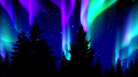 Aurora Over The Trees Stock Footage 341786299