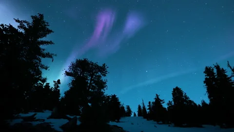Aurora Purple Above Pine Trees Snow Mountain 01 Loop Stock Footage 148652427
