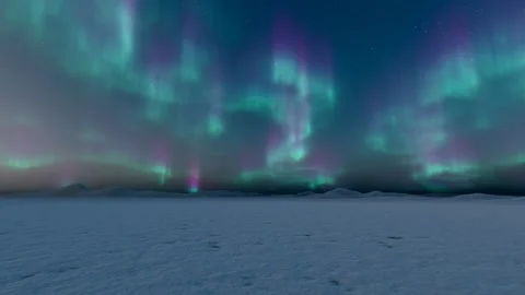 Aurora in the snow at night Stock Footage 316522505