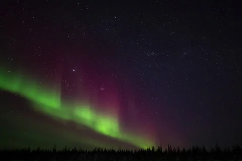 Aurora with Stars at Night at the 53rd Parallel Stock-Footage 310187515
