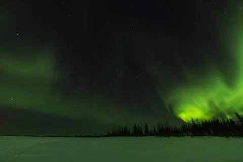 Aurora with Stars at Night at the 53rd Parallel Stock Footage 310187589