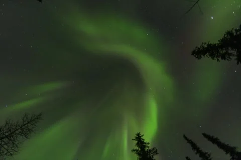 Aurora with Stars at Night at the 53rd Parallel Stock-Footage 310187628