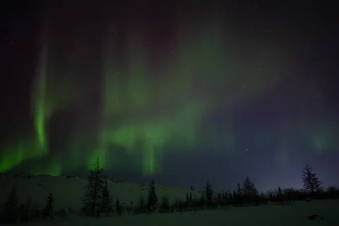 Aurora with Stars at Night at the 53rd Parallel Stock Footage 310187639