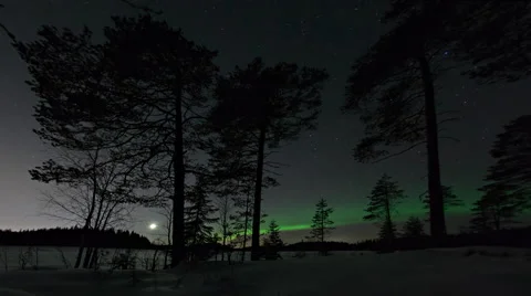 Auroral arc in the forest Stock Footage 62807577