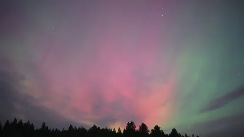 Auroras over alpine forest Stock Footage 287864300