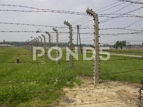 Auschwitz 1944 Stock Photos