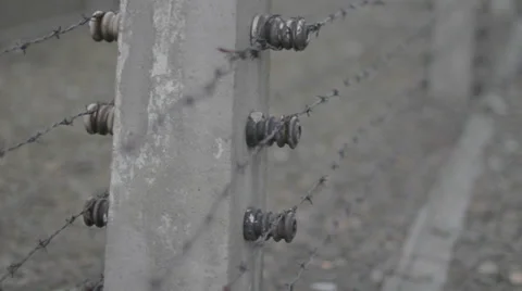 Auschwitz Barbed Wire Fence Stock Footage 32345502