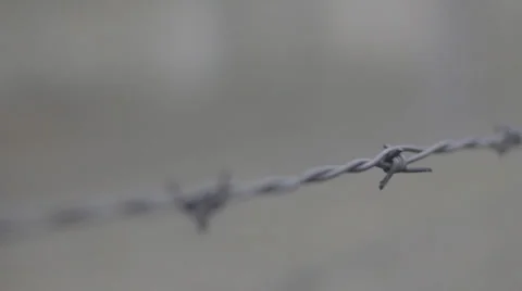 Auschwitz Barbed Wire Stock Footage 32345895