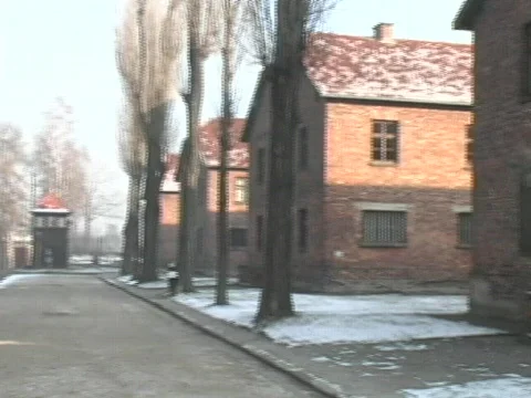 Auschwitz Barracks Stock Footage 566702