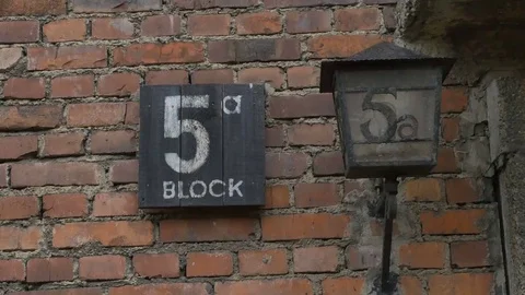 Auschwitz Block Building Panel Видео 69270439