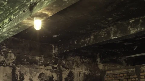 Auschwitz Chamber Stock Footage 83005955