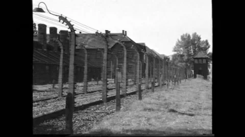 Auschwitz 動画素材 219895273