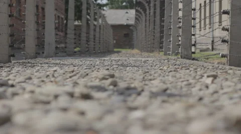 Auschwitz Lane and Barbed Wire Stock Footage 32345307