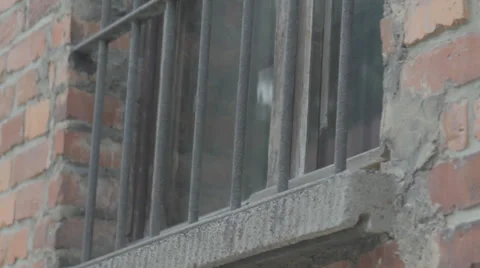 Auschwitz Latticed Window Stock Footage 32345609