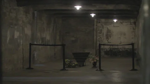 Auschwitz Museum Stock Footage 32345509