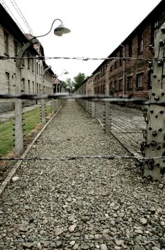 Auschwitz Stock Photos