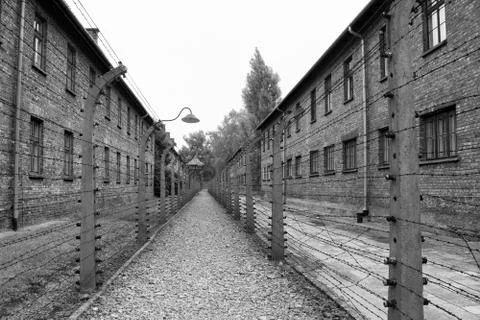 Auschwitz Stock Photos