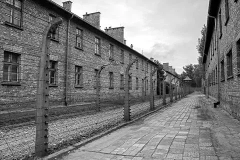 Auschwitz Stock Photos