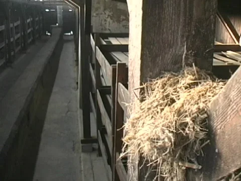 Auschwitz Prisoner Sleeping Quarters 2 Stock Footage 566685