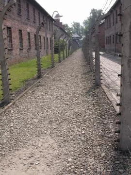 Auschwitz WW2 Stock Photos