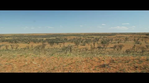 Aussie scrub Stock Footage 45168788