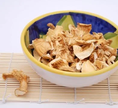 Austernpilze Stock Photos