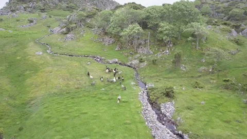 Austevoll and Hotvik 2017 Stock Footage 201534213