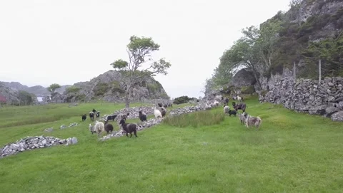 Austevoll and Hotvik 2017 Stock Footage 201534315