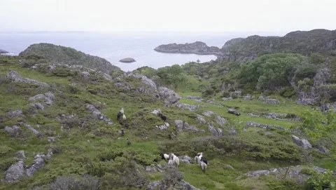 Austevoll and Hotvik 2017 Stock Footage 201534386