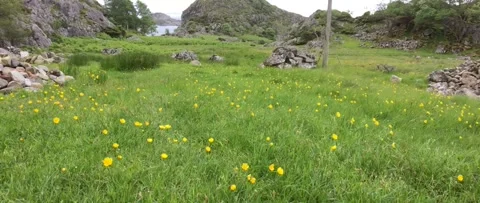 Austevoll and Hotvik 2017 Stock Footage 201534407