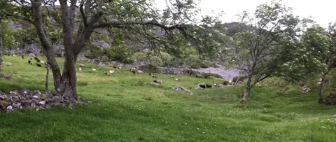 Austevoll and Hotvik 2017 Stock Footage 201534753